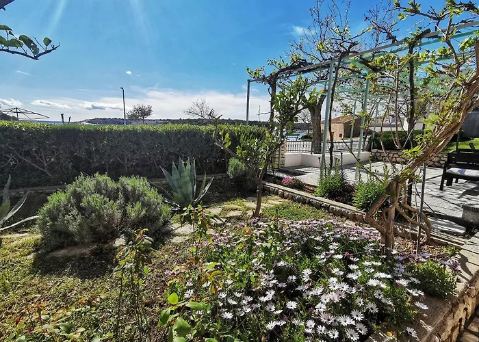 Apartments Simuni * Šimuni