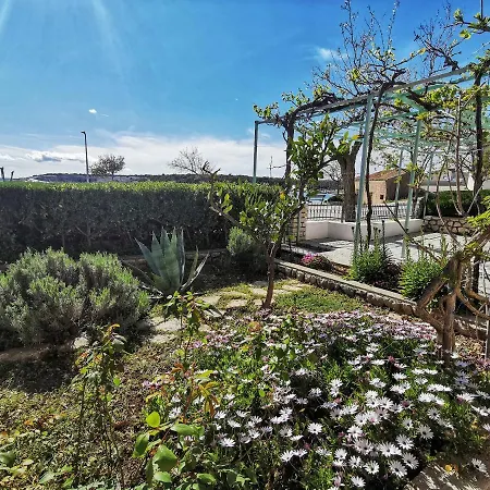 Apartments Simuni * Šimuni